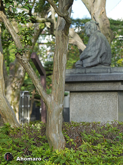 写真00