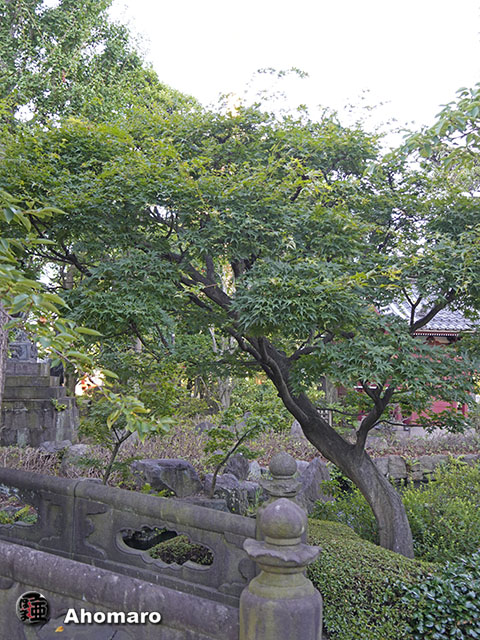 写真00