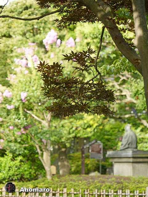 写真00