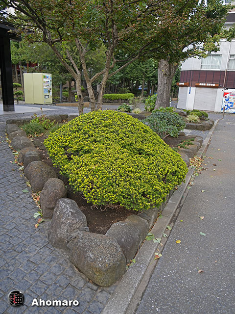 写真00