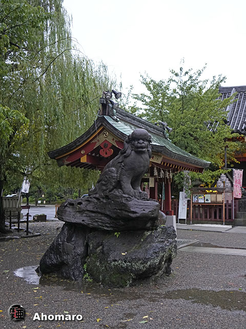 写真00