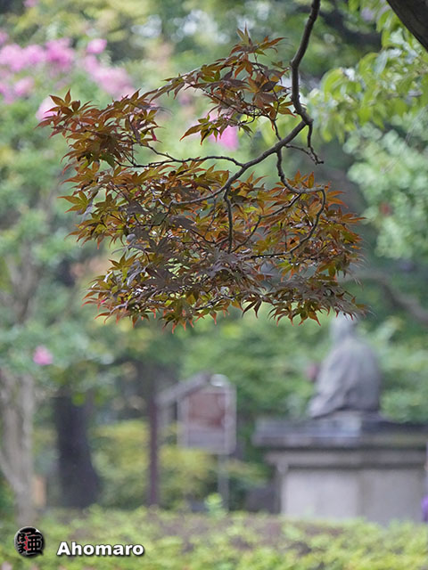 写真00
