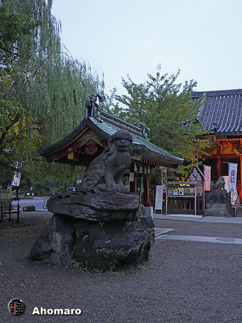 写真00