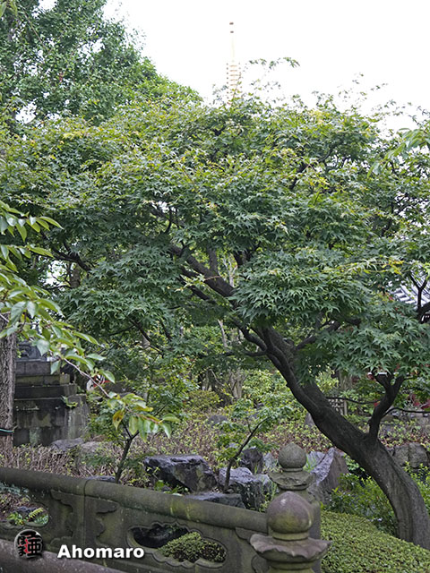 写真00