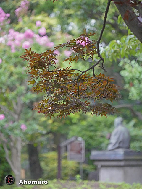 写真00