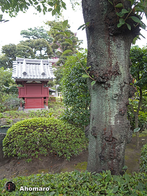 写真00