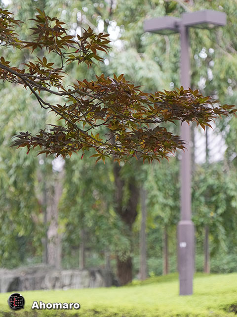 写真00