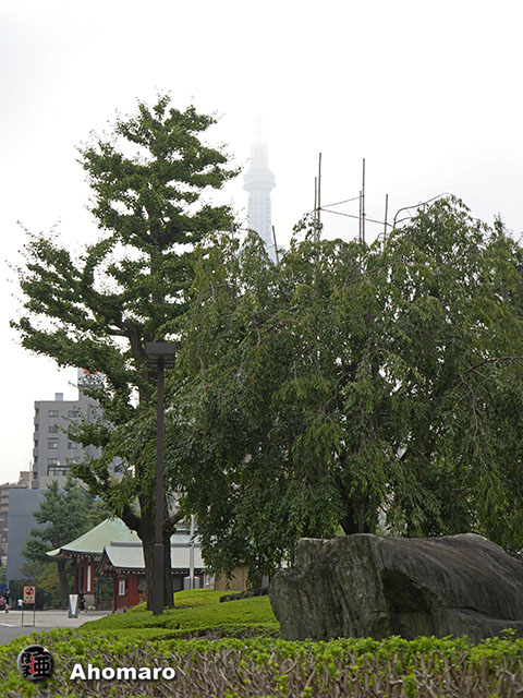 写真00