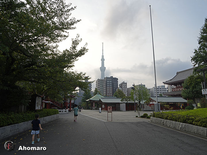 写真00