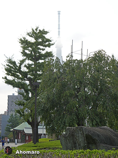 写真00