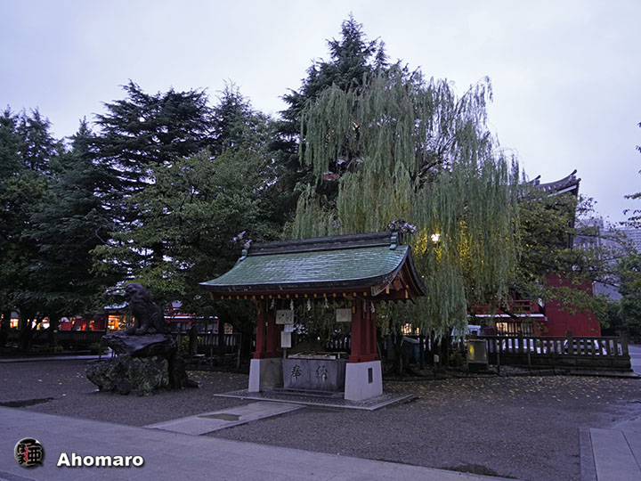 写真00