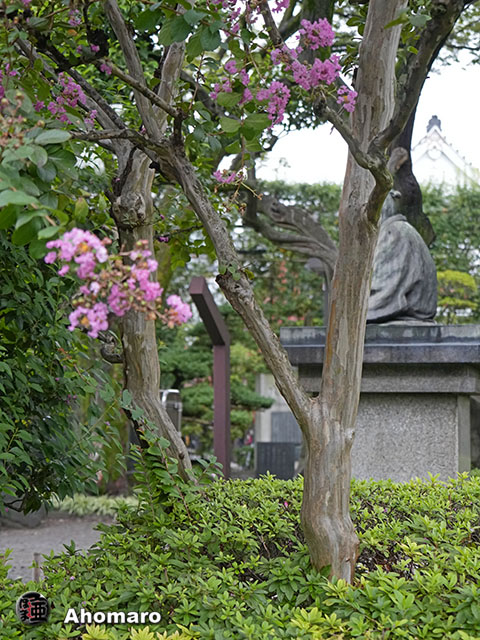 写真00