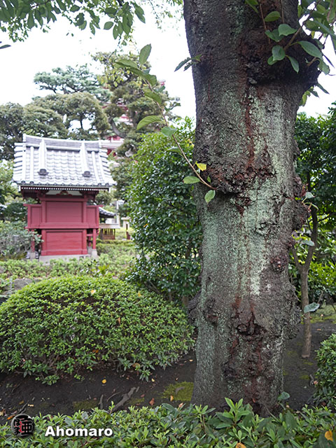 写真00