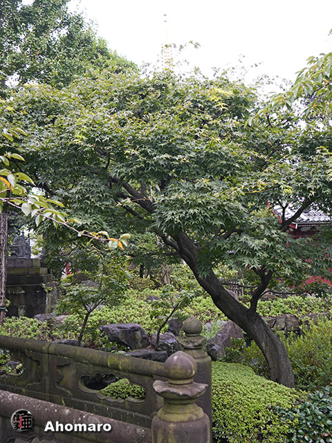 写真00