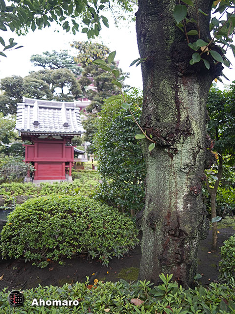 写真00