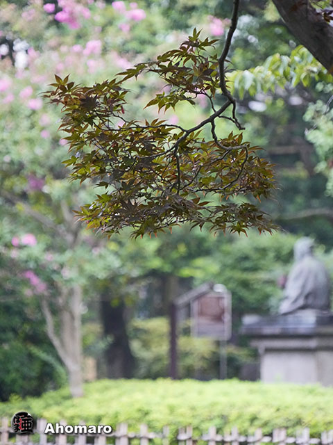 写真00