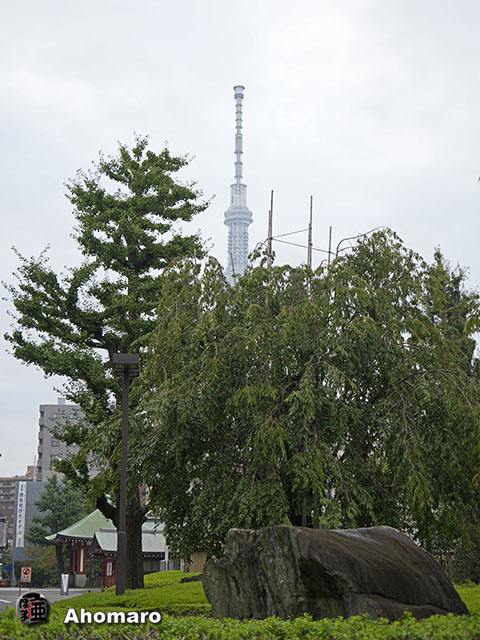 写真00