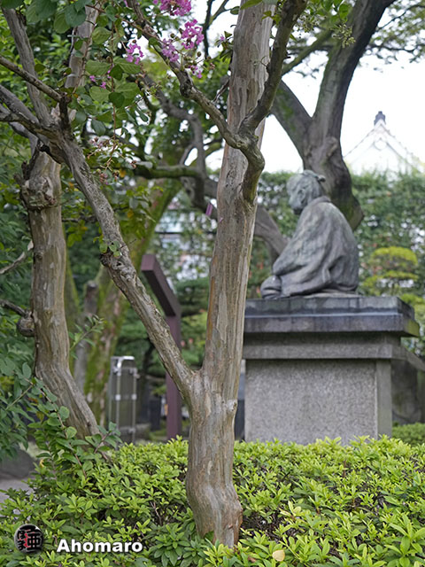 写真00