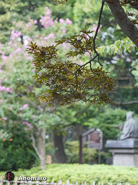写真00