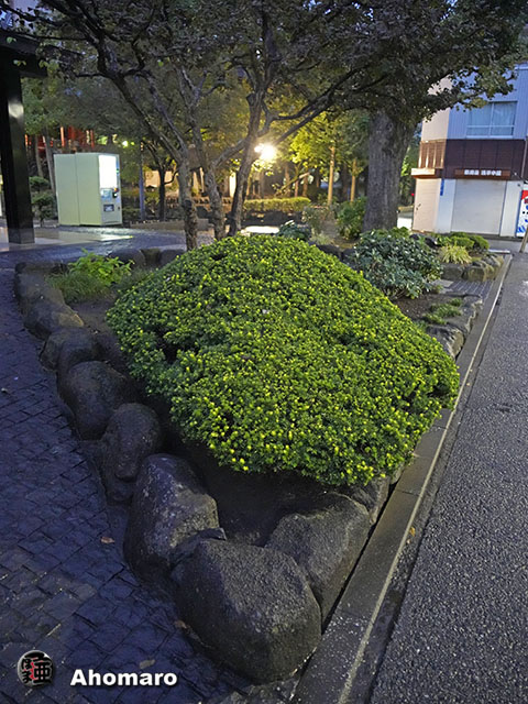 写真00