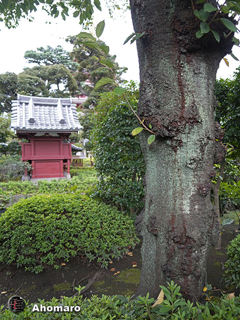 写真00