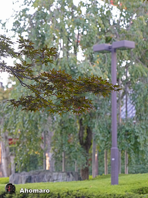 写真00