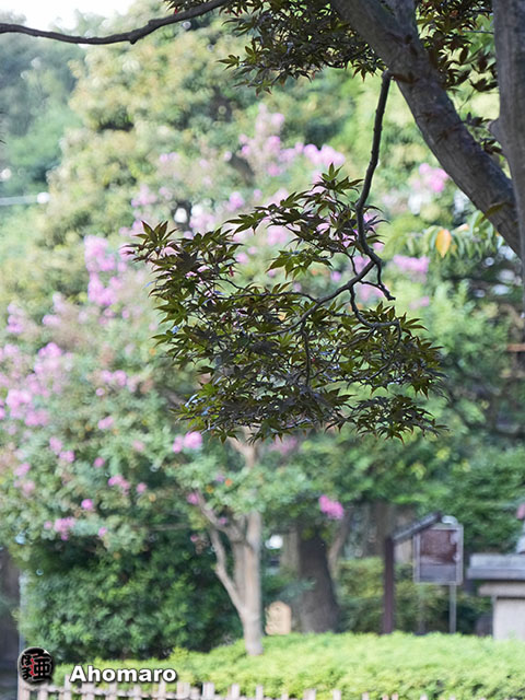 写真00