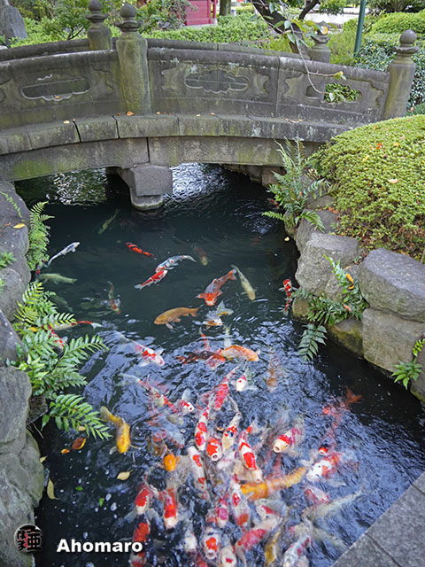 写真00