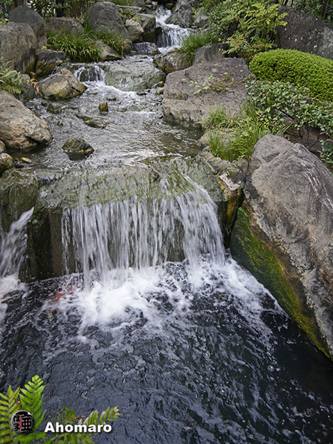 写真00