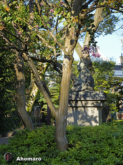 写真00
