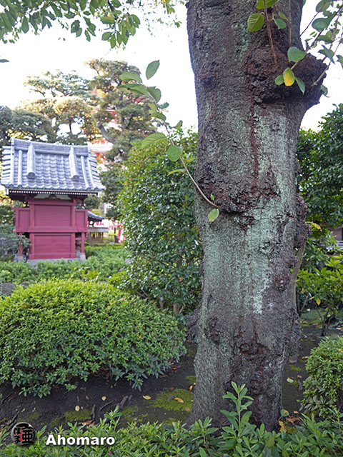 写真00