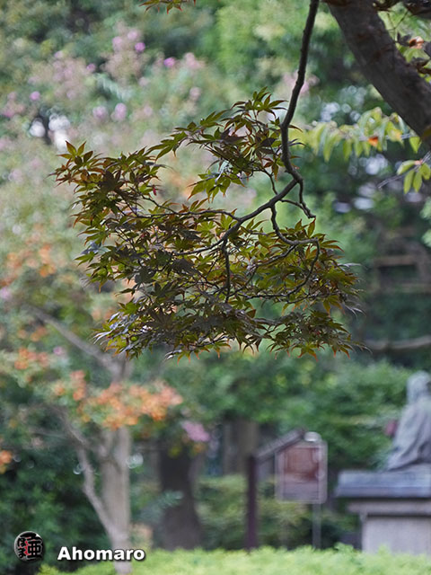 写真00