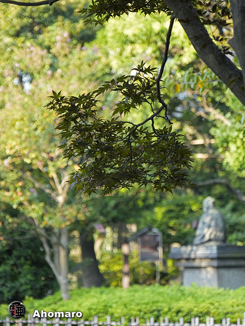 写真00