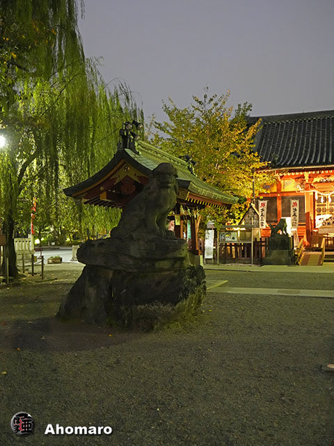 写真00