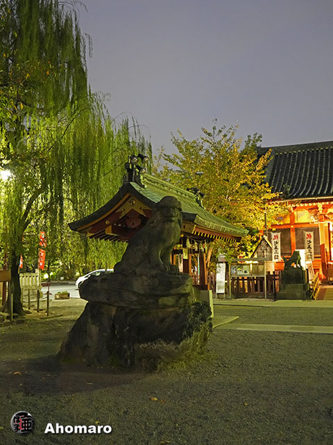 写真00