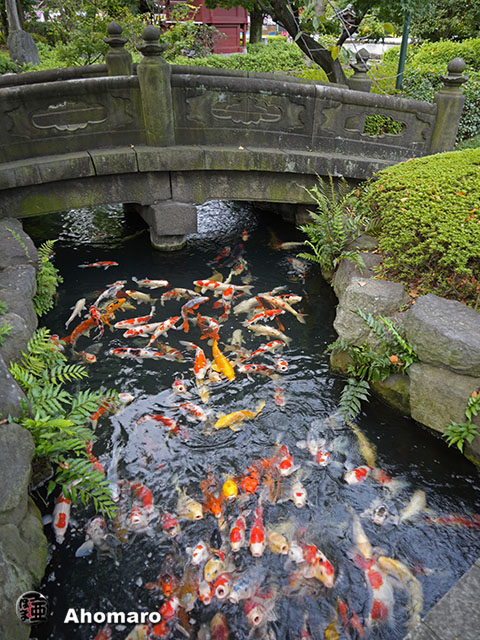 写真00