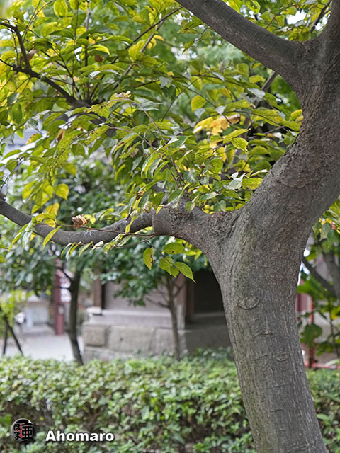 写真00