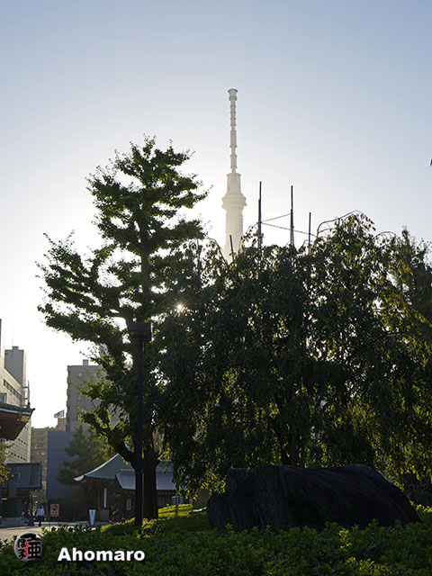 写真00