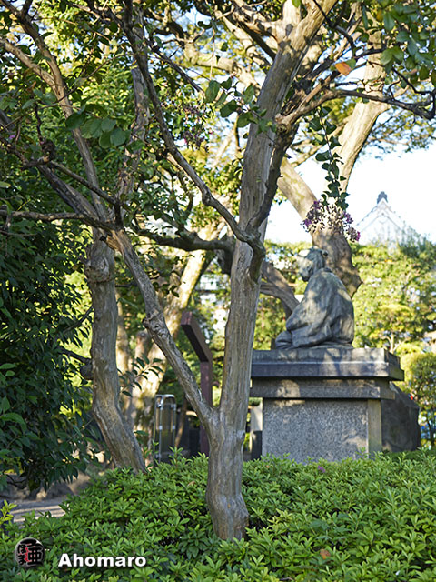 写真00