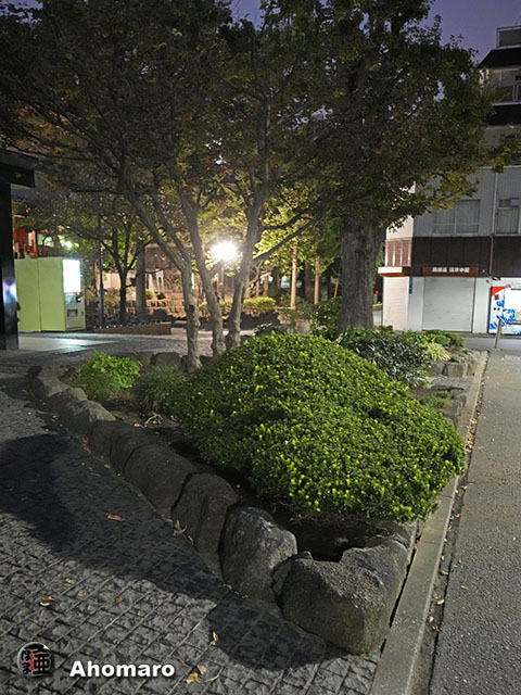 写真00