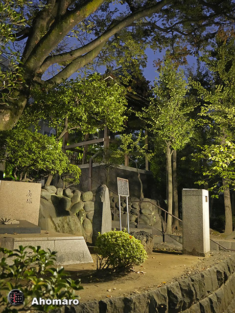 写真00