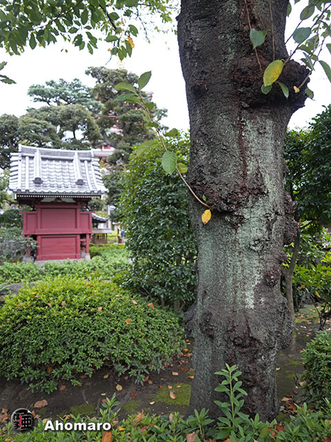 写真00