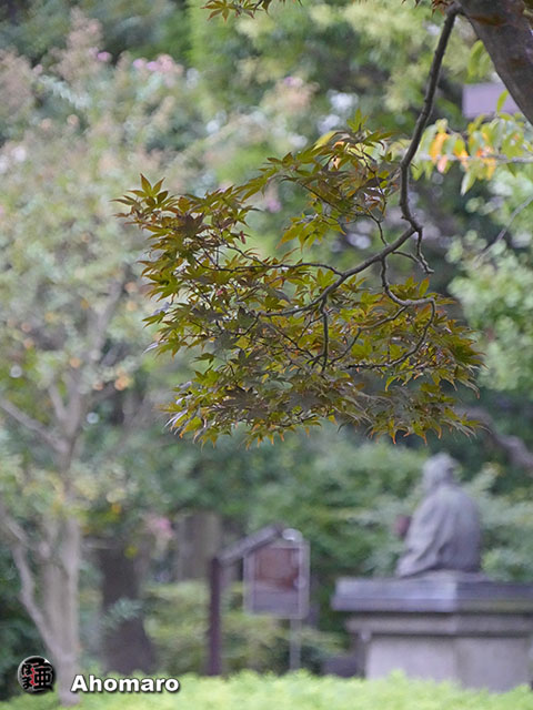 写真00