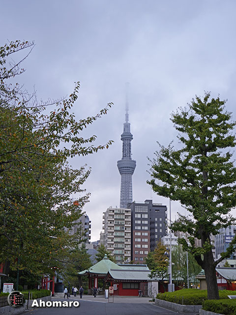 写真00