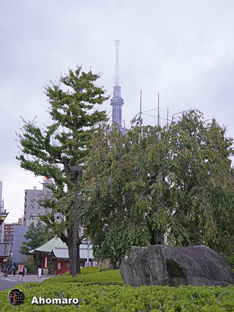 写真00