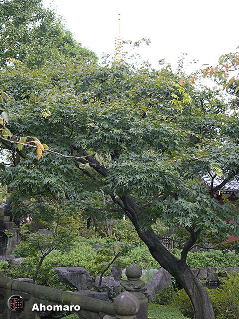 写真00