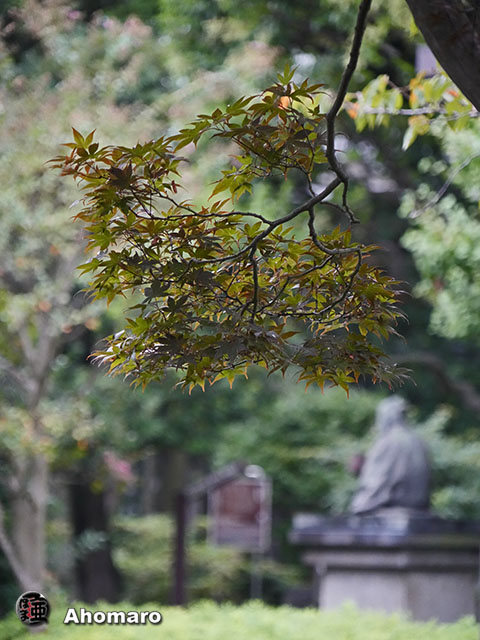 写真00