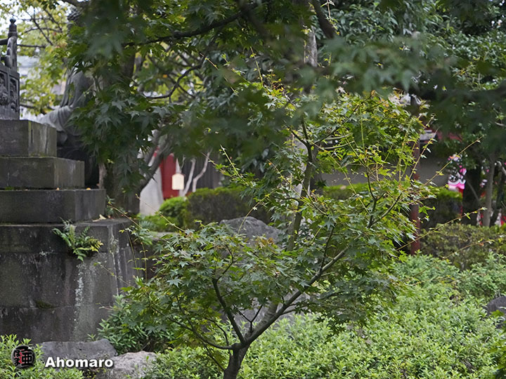 写真00