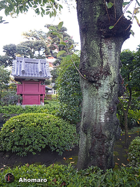 写真00