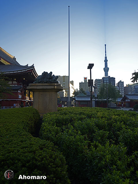 写真00